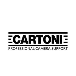 Cartoni