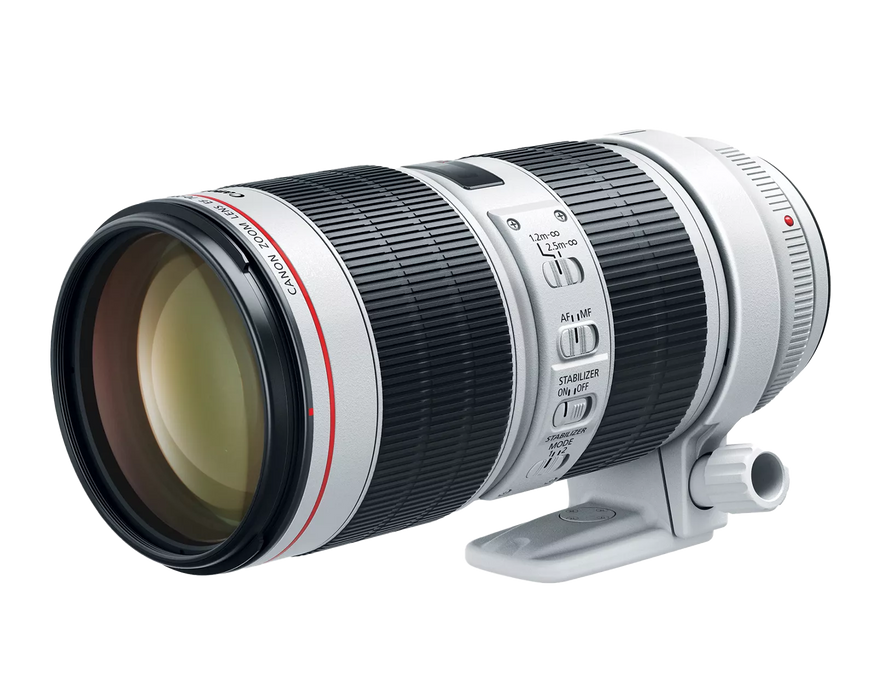 Canon EF 70-200mm f/2.8 L IS III USM Telephoto Zoom Lens