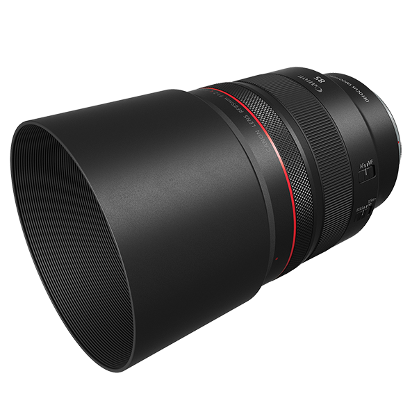 Canon RF 85mm F1.2 L USM DS Lens (RF Mount)