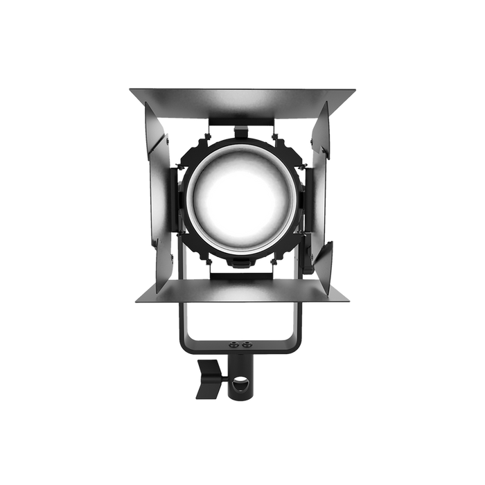 Aputure LS 60D Daylight Focusing LED