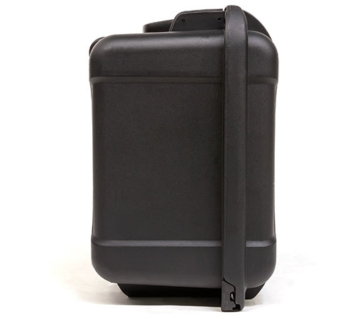 Flanders Scientific Nanuk Transport Case for DM160Monitor