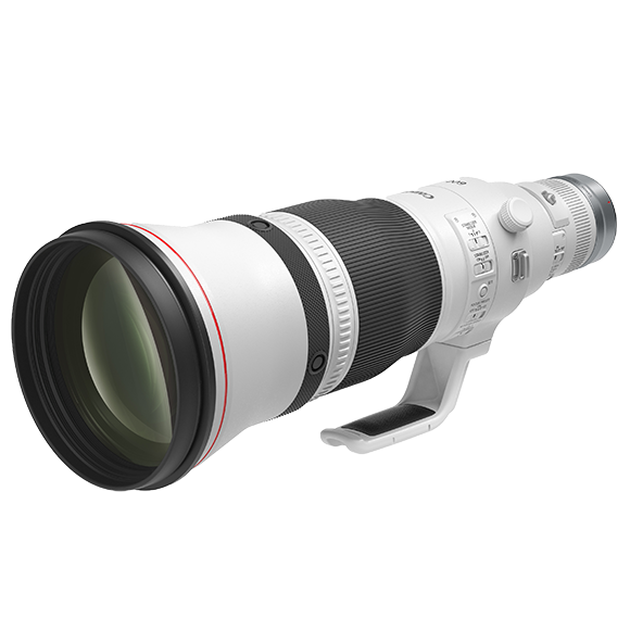 Canon RF 600mm F4 L IS USM Lens (RF Mount)