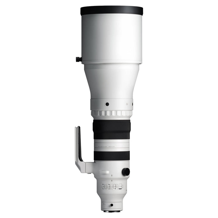 Sigma 300-600mm F4 DG OS | Sports