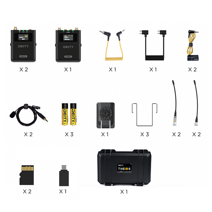 Deity THEOS Dual-Channel Digital UHF System (Global)