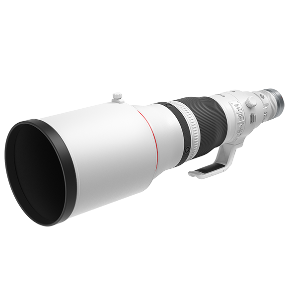 Canon RF 600mm F4 L IS USM Lens (RF Mount)