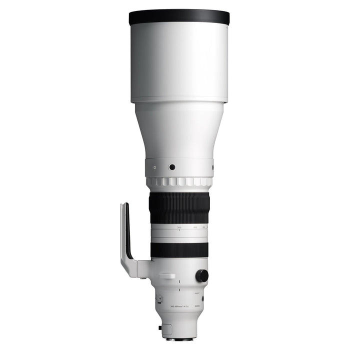 Sigma 300-600mm F4 DG OS | Sports