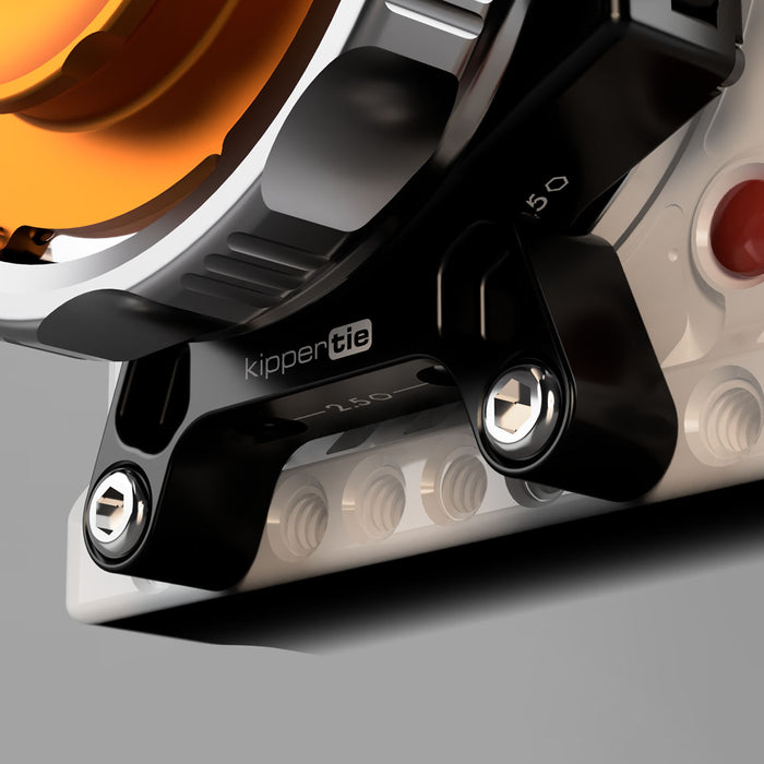 Kippertie Wrestler (support for RF Revolva and Adapta with V-Raptor)