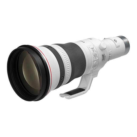 Canon RF 800mm F5.6 L IS USM Lens (RF Mount)