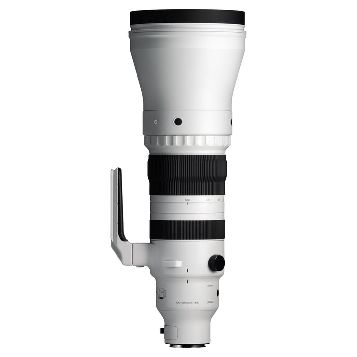 Sigma 300-600mm F4 DG OS | Sports