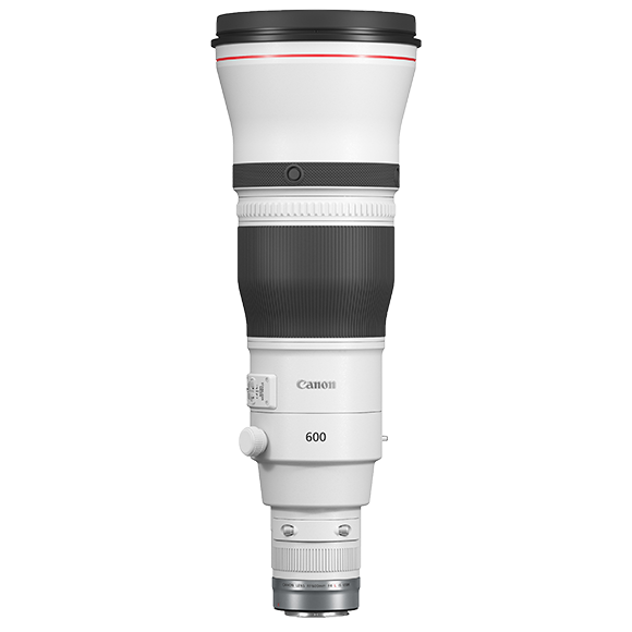 Canon RF 600mm F4 L IS USM Lens (RF Mount)