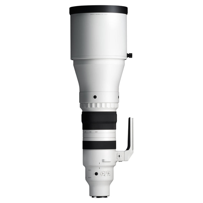 Sigma 300-600mm F4 DG OS | Sports