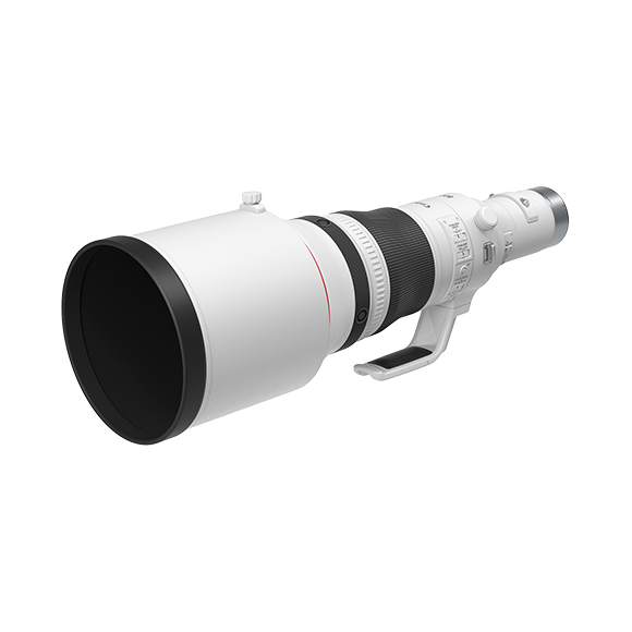 Canon RF 800mm F5.6 L IS USM Lens (RF Mount)